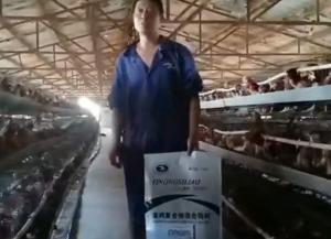 原保軍在河南安陽為益農(nóng)蛋雞預(yù)混料代言！